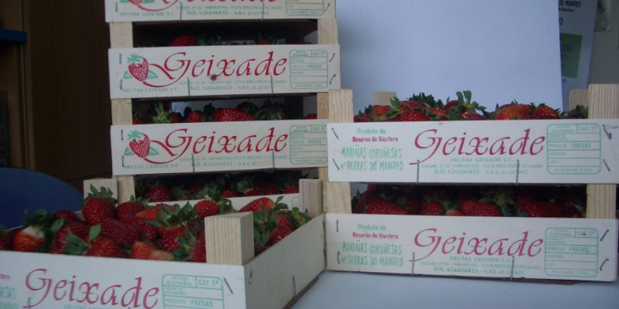 Frutas Geixade, la historia de dos hermanos que crecieron entre campos de fresas