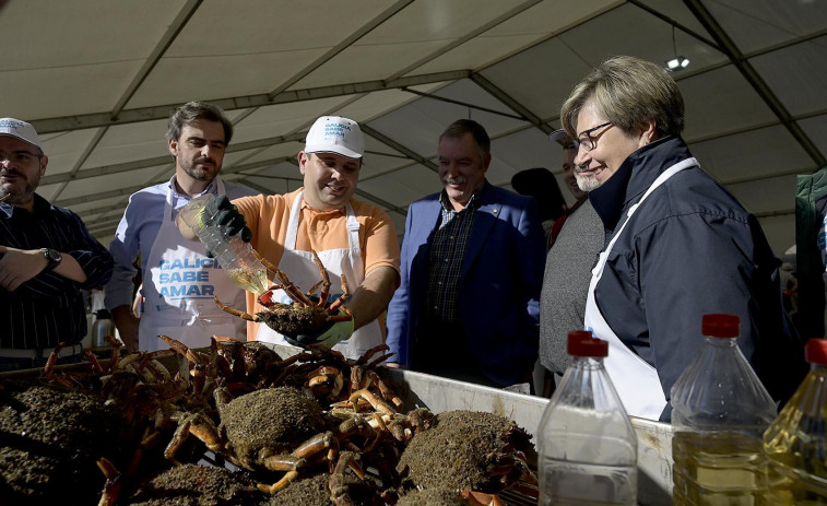 La centolla de Lorbé recupera sabor al disfrutarse de nuevo bajo la carpa