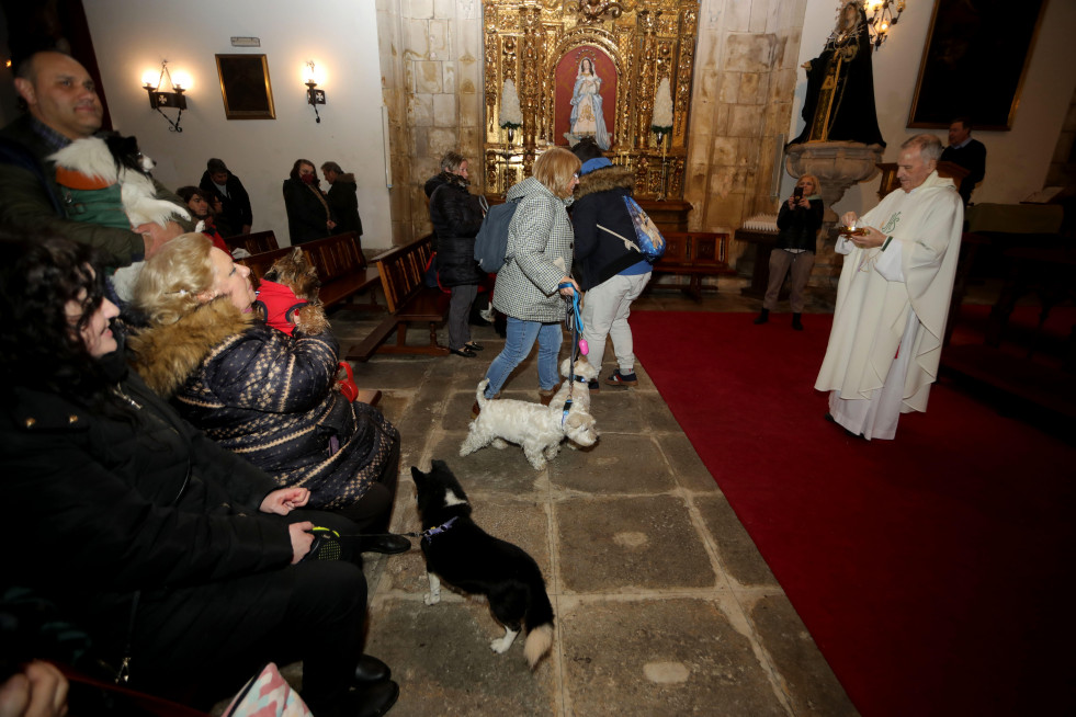 Bendición de mascotas en la Tercera Orden @Patricia G. Fraga (11)