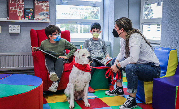 Los escolares de Culleredo vuelven a participar en el programa ‘Perros y letras’