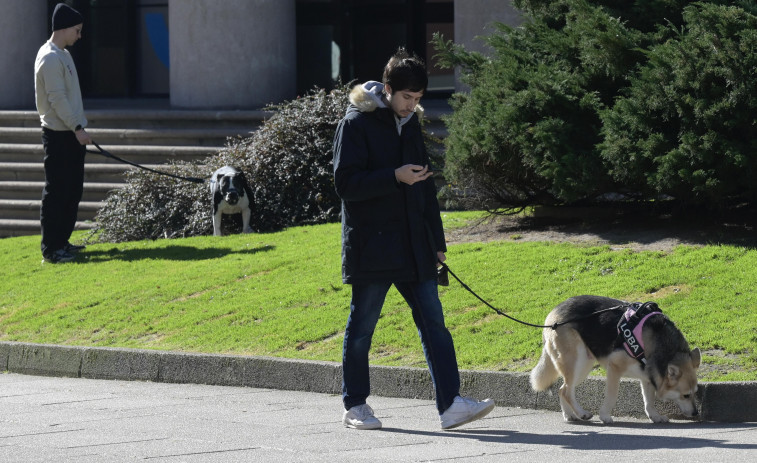 En suspenso la ordenanza que obliga  a limpiar los orines de las mascotas