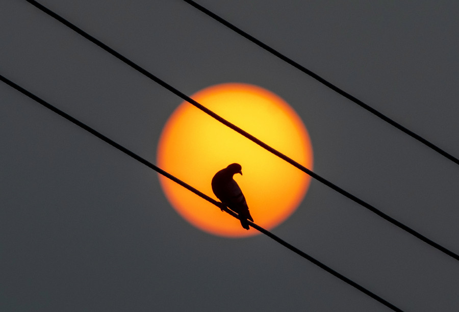 El precio de la luz este domingo sube y queda en 80 euros/MWh