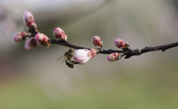 Así será el tiempo en A Coruña el 21 de marzo