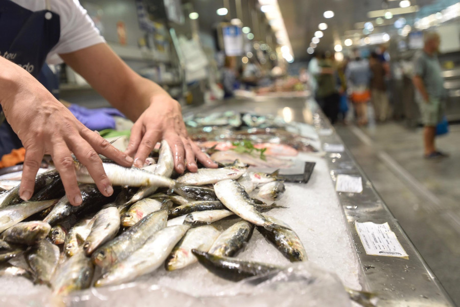 A Coruña recibe las primeras sardinas de la temporada