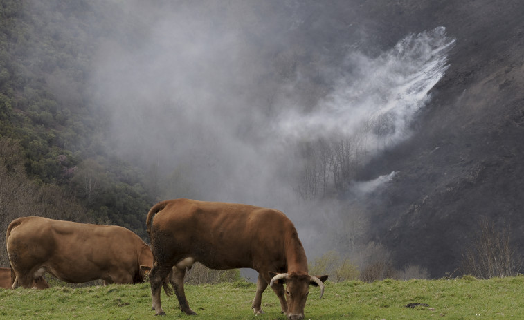 Controlados los incendios de Baleira y Viveiro, que suman 1.490 hectáreas calcinadas