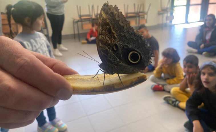 El campamento de Semana Santa de Culleredo acerca la naturaleza a los niños