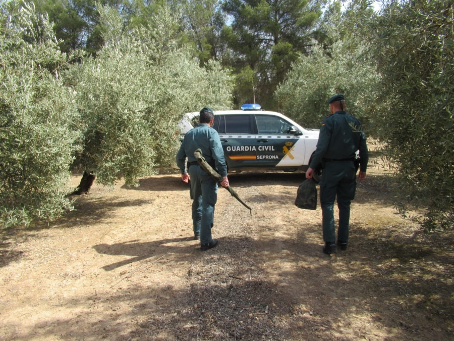 Interceptan nueve terneros sin documentación sanitaria que tenían como destino Abegondo