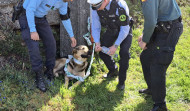 La Guardia Civil de A Coruña rescata a un perro en el Camino Francés