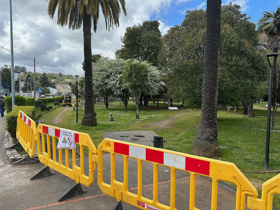 La tala de árboles en el parque de Pablo Iglesias causa alarma entre los vecinos de Betanzos