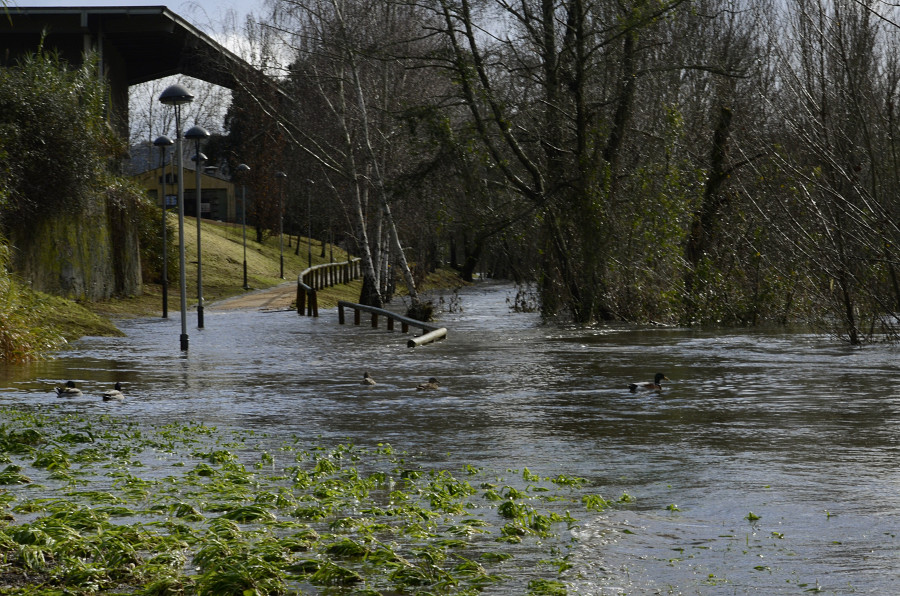 Tres jóvenes, atrapados en la base del puente Viejo de Ourense tras la crecida del caudal del río Miño