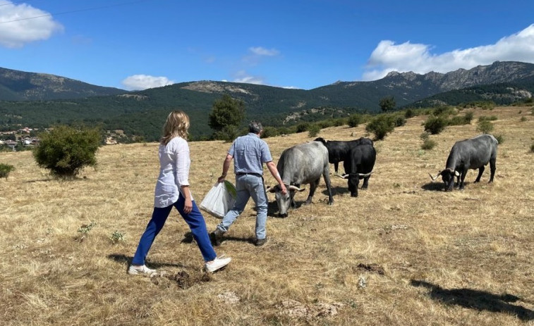 El Gobierno rebaja el 25% en el IRPF para ayudar a 800.000 agricultores y ganaderos por la sequía