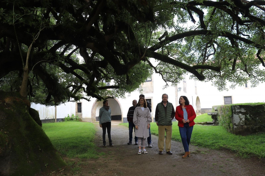 El Catálogo Gallego de Árboles Singulares suma dos secuoyas, un alcornoque y una formación de camelias