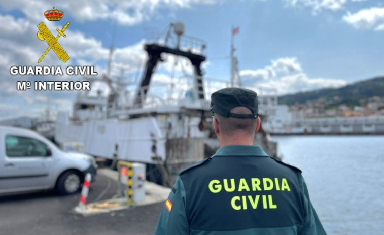 Intervenidos 850 kilos de pescado sin documentar en el Puerto de Marín