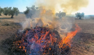 Prohibidas desde este sábado las quemas agrícolas y forestales en Galicia