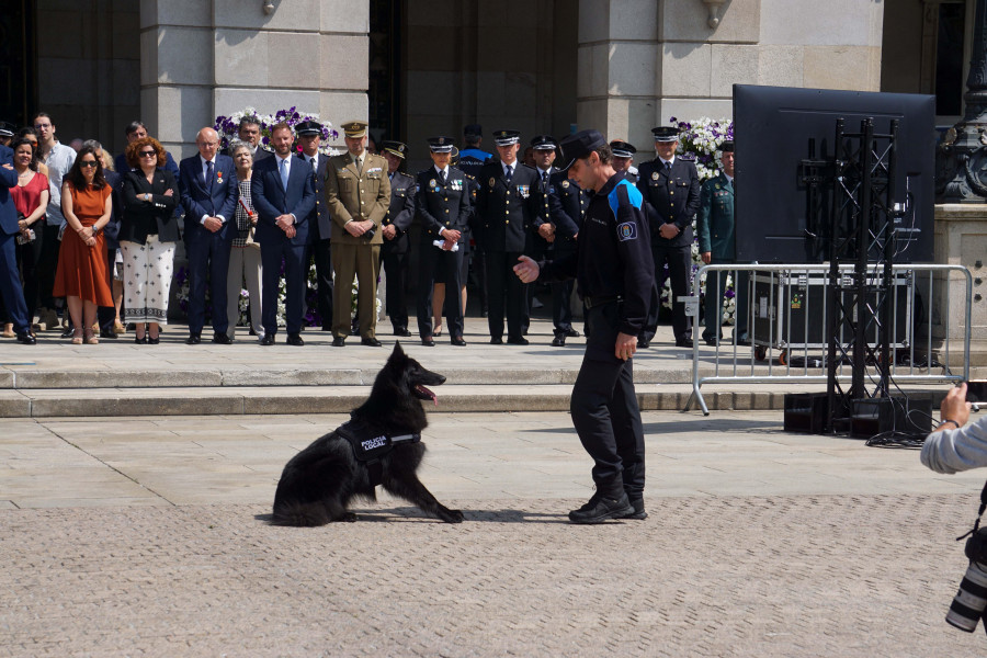 La Policía Local celebra su Día con una exhibición de drones y de su perro, Bico