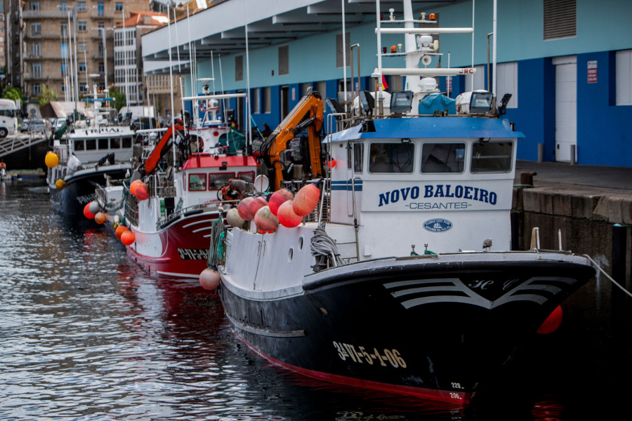 La UE pacta el reparto de pesca de 2024 con la cifra de merluza "más importante del siglo" para España