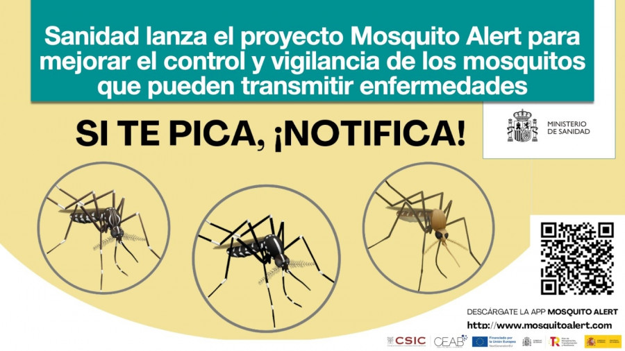 'Si te pica, ¡notifica!', la nueva aplicación de Sanidad para vigilar los mosquitos