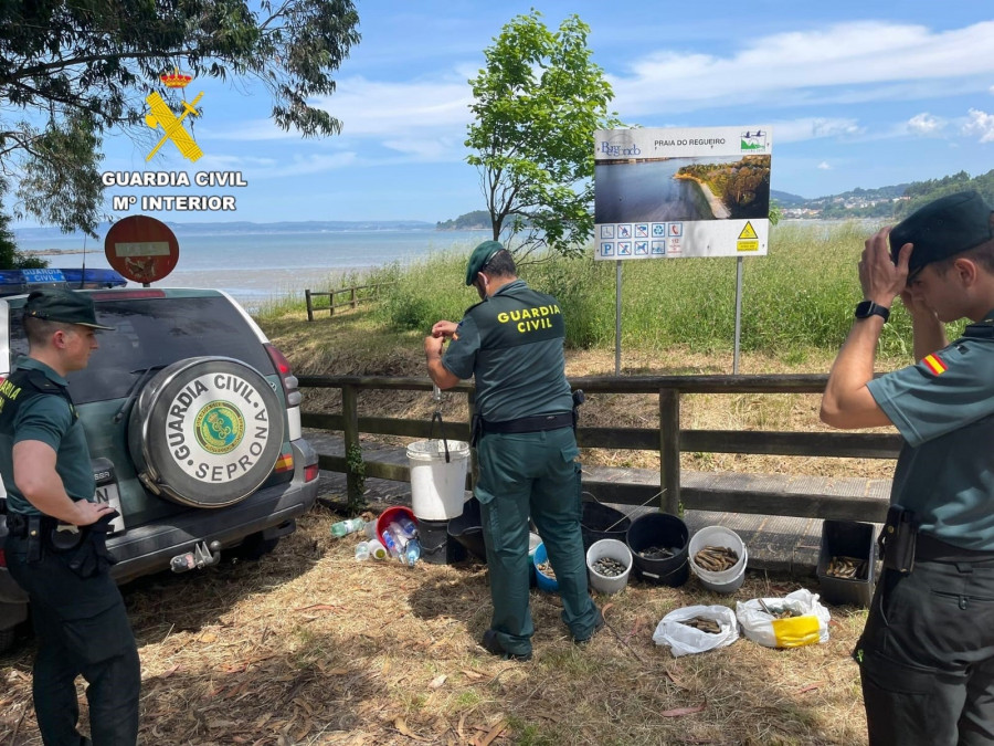 Identifican a diez furtivos con 50 kilos de marisco en una playa de Bergondo