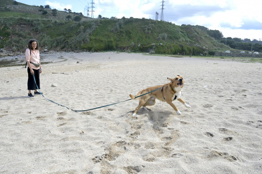 Comienza la temporada de playa en Bens sin acondicionarla para los perros