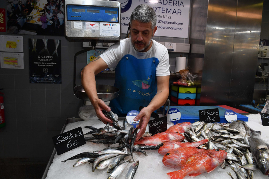 Las sardinas en los mercados de A Coruña: grandes, abundantes y a buen precio