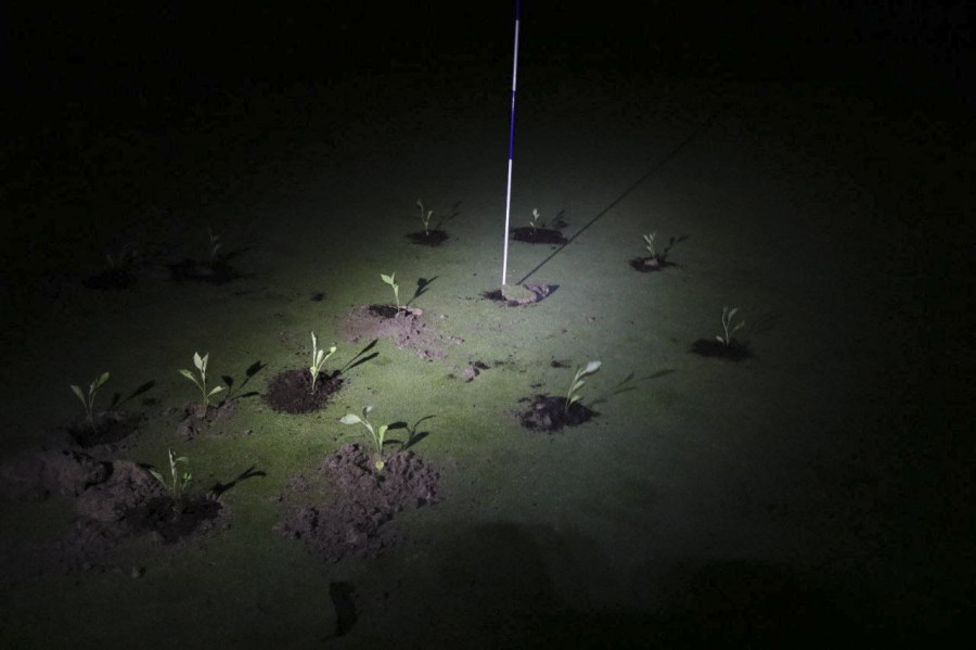 Activistas climáticos tapan con cemento hoyos de golf para denunciar el gasto de agua