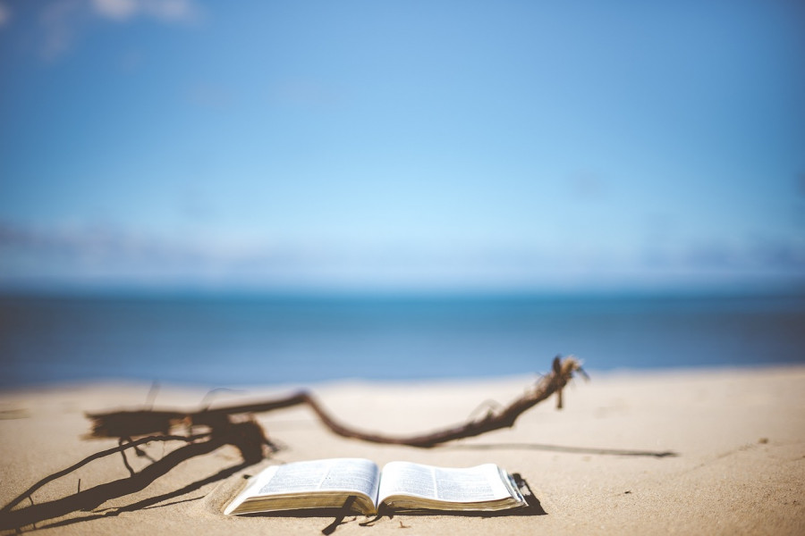 Siete libros sobre gastronomía para leer este verano