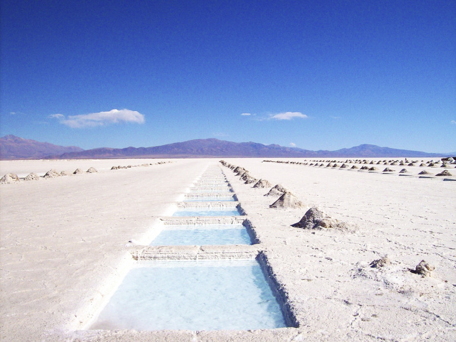 La Tierra ya ha consumido los recursos naturales de todo el año