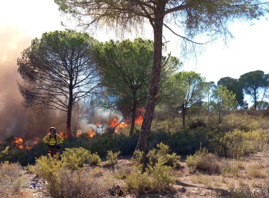 Estabilizan el fuego de Bonares y los desalojados vuelven a casa