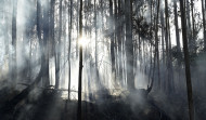 Extinguido el incendio de Suevos, que calcinó algo más de 25 hectáreas