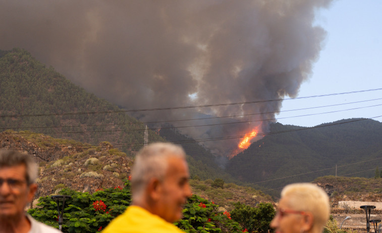 La superficie afectada por el incendio de Tenerife alcanza las 800 hectáreas