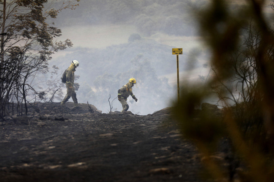 A Coruña requiere la limpieza de casi 200 fincas para prevenir los incendios