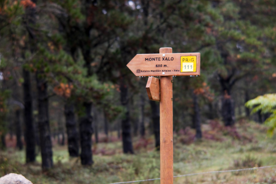 Culleredo dedicará 97.000 euros para preservar el Monte Xalo