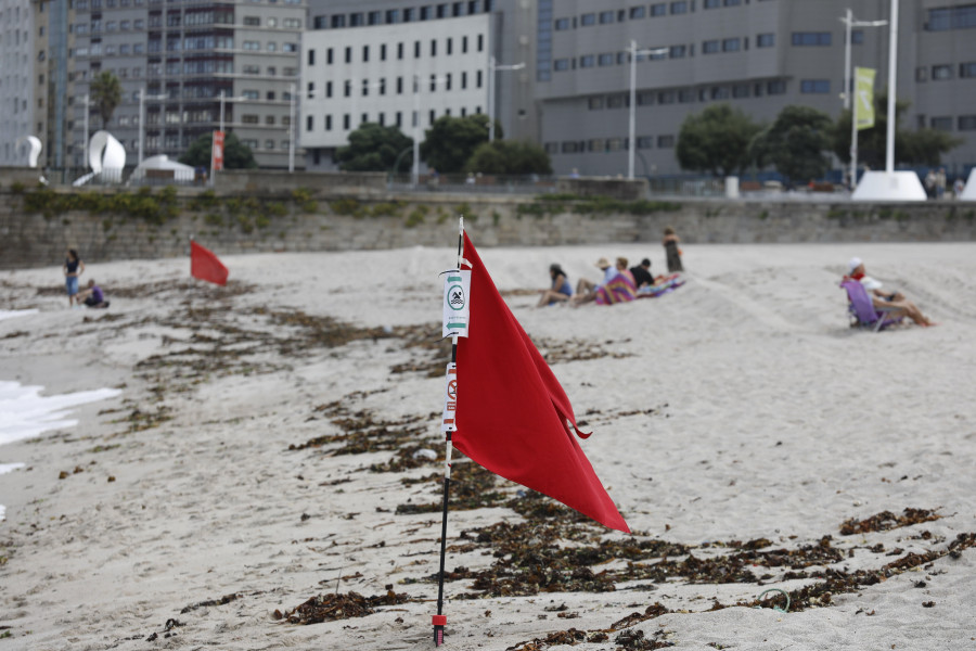 Oza es la única playa de A Coruña que se mantiene libre de las medusas