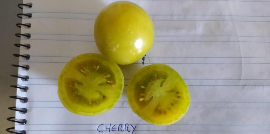 Tomates cherry A Marola y ‘Tetas de Sacristana’: consulta aquí el especial Gastro Ideal