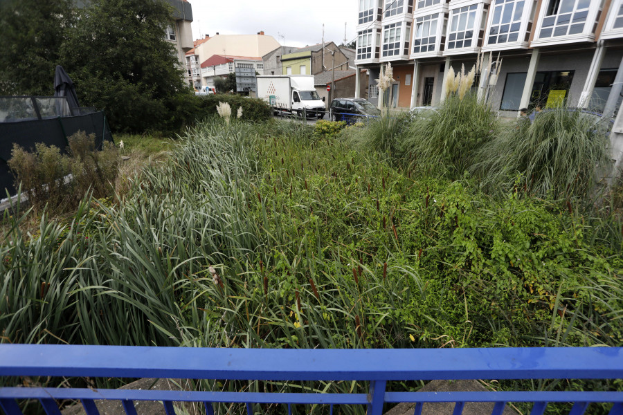 Denuncian el estado de la zona aledaña al río Monelos a su paso por Mesoiro Viejo