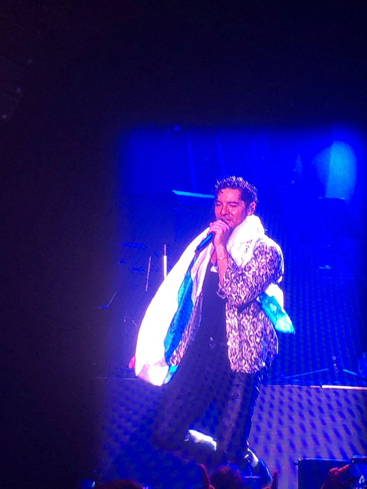 Bisbal, con la bandera gallega