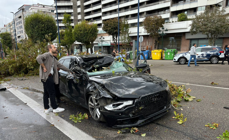 Herida en Vigo tras caer un árbol sobre el vehículo que conducía