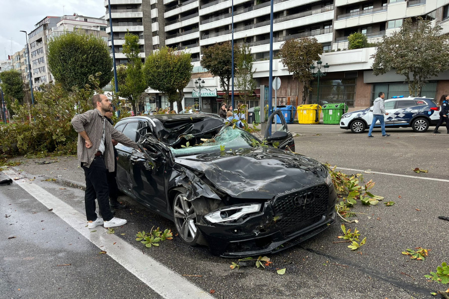 Herida en Vigo tras caer un árbol sobre el vehículo que conducía