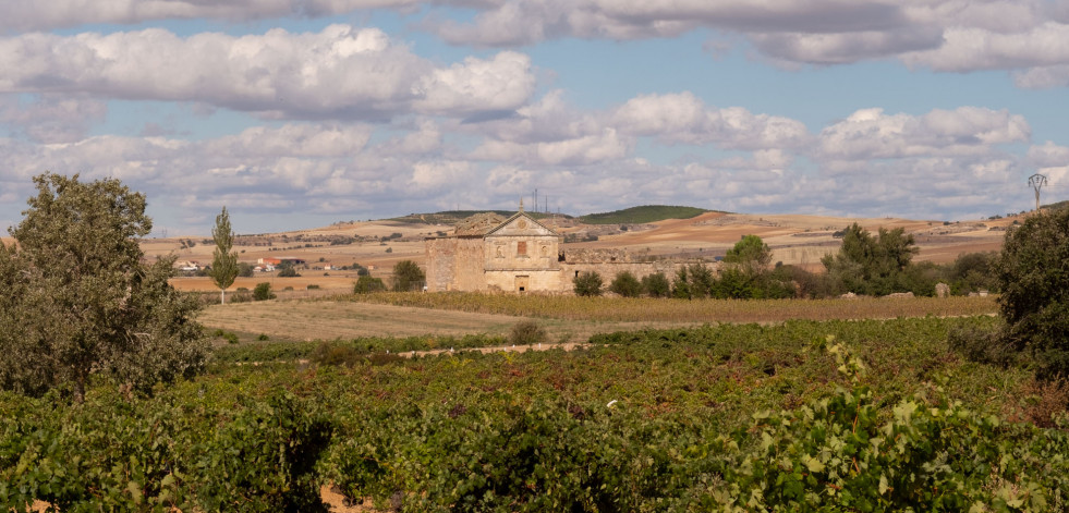 Viñas del Cénit lanza la colección Field Blend