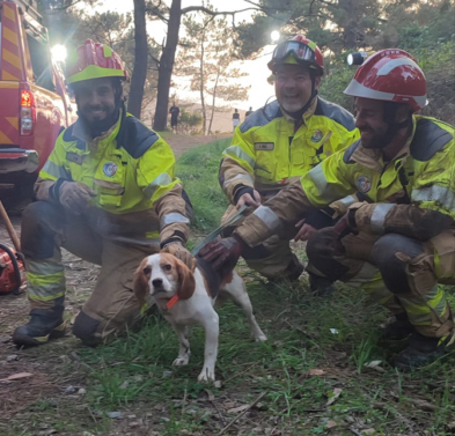 Rescatan a un hombre que llevaba horas atrapado tras caer en unas zarzas  en un monte de Liáns