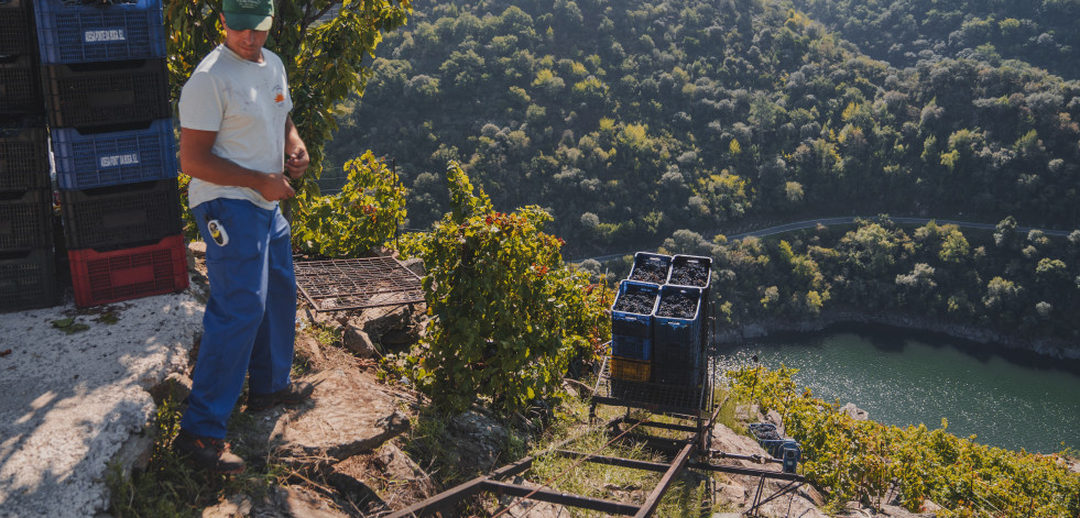 Ponte da Boga, donde el vino y la historia se unen en un desafío heroico