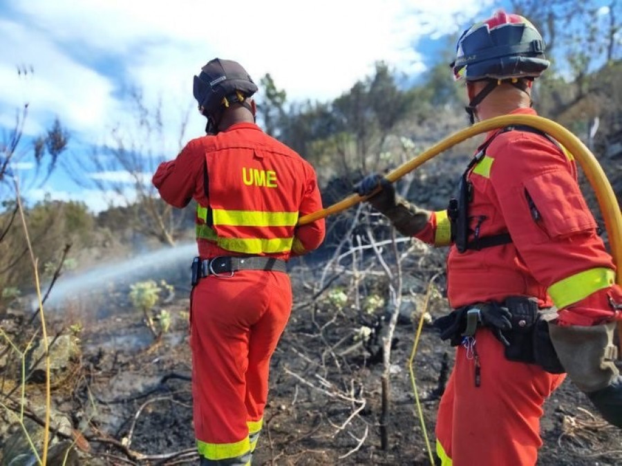 Siguen las evacuaciones por el fuego de Tenerife ante una noche "complicada" por el viento