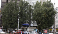 El mal estado de los álamos de la plaza de Ourense obliga a  podas para reducir  el peligro de caídas