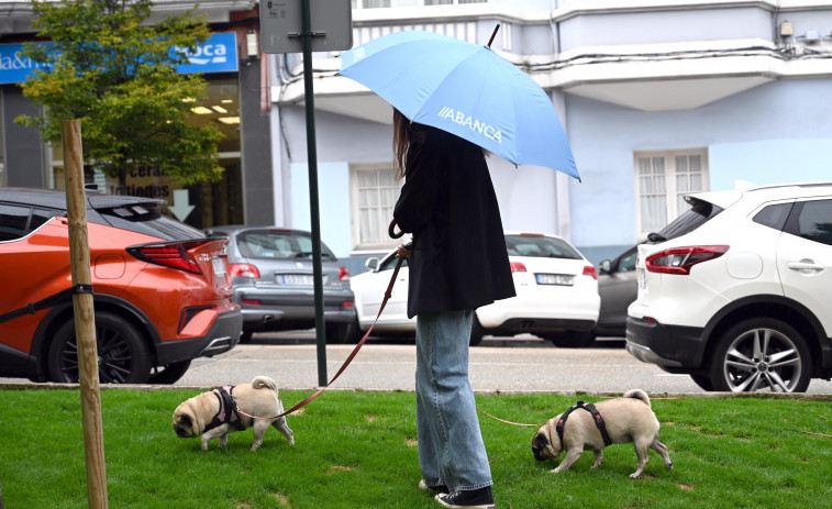 Limpiar la orina de los perros ya es obligatorio en A Coruña