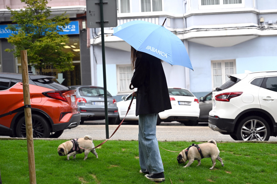 Limpiar la orina de los perros ya es obligatorio en A Coruña
