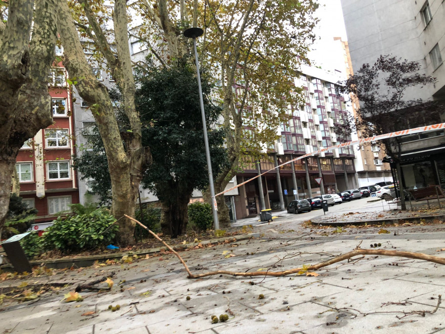 Árboles y ventanas caídas en A Coruña por el temporal 'Aline'