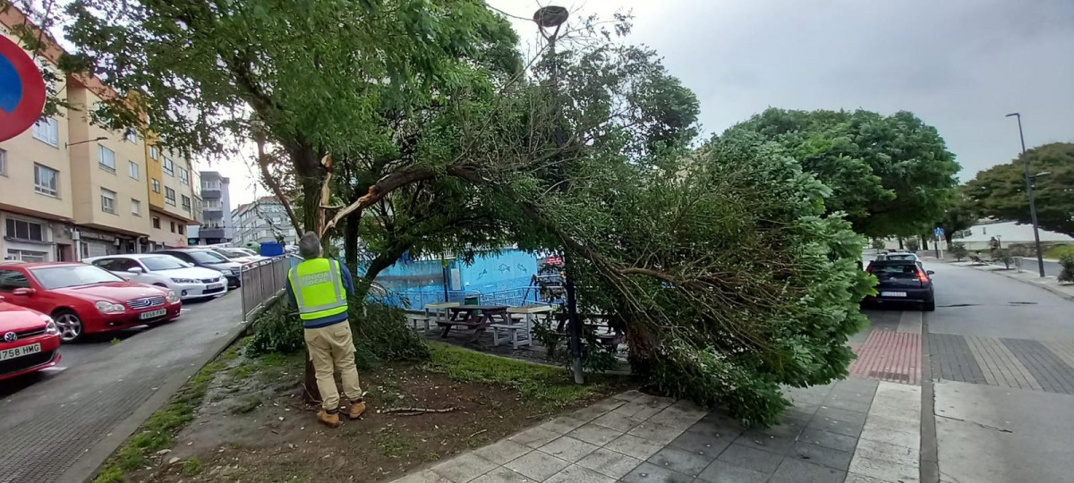 CAMBRE DESTROZOSTEMPORAL 2