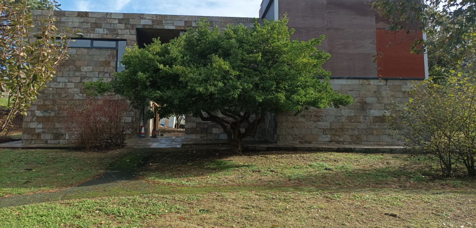 Reportaje | Arteixo piensa en verde: la escuela ecológica