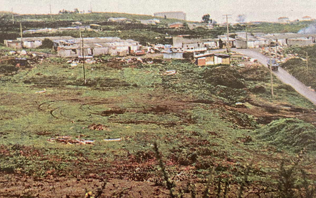 Parcela de Cances en donde se iban a construir pisos sociales 1998