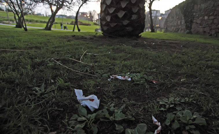 En el parque de Oza se recogen el 84% de las jeringuillas de toxicómanos de A Coruña